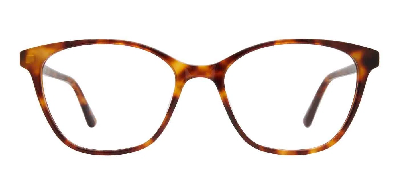 Adensco 236 Eyeglasses - view 25